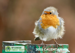 WFT 2025 Photo Calendar